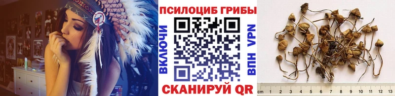 Галлюциногенные грибы MAGIC MUSHROOMS  магазин продажи   Дрезна 